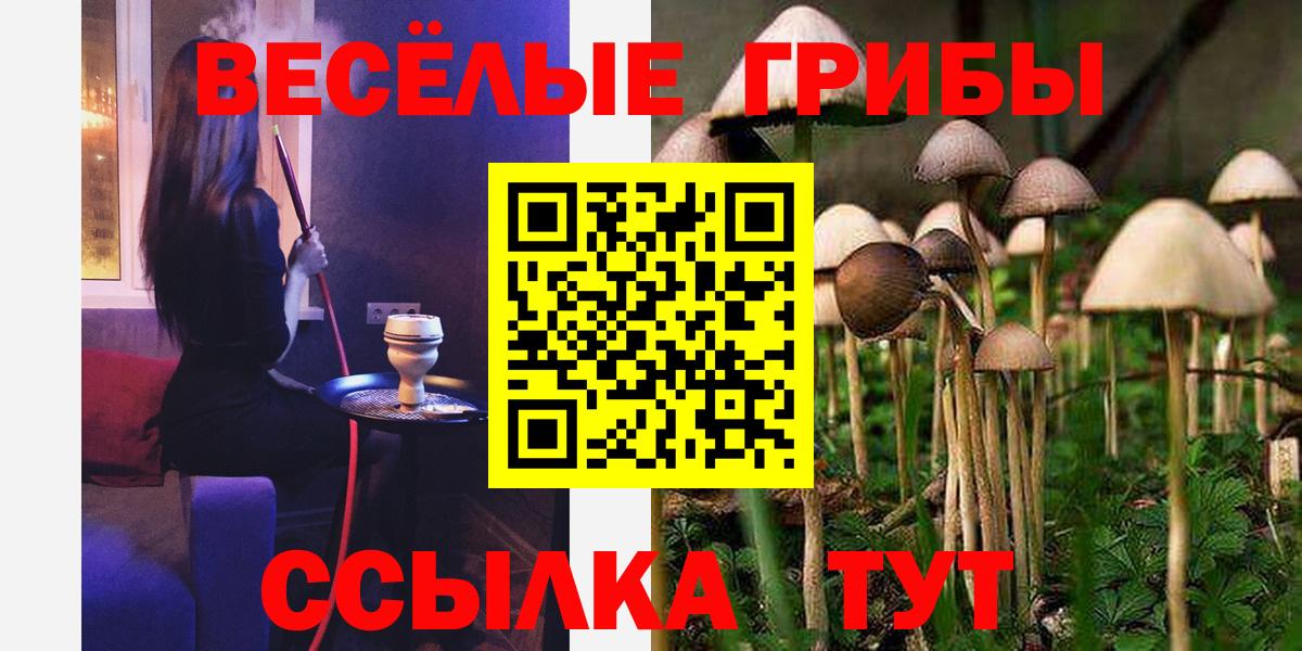 Псилоцибиновые грибы прущие грибы Лыткарино