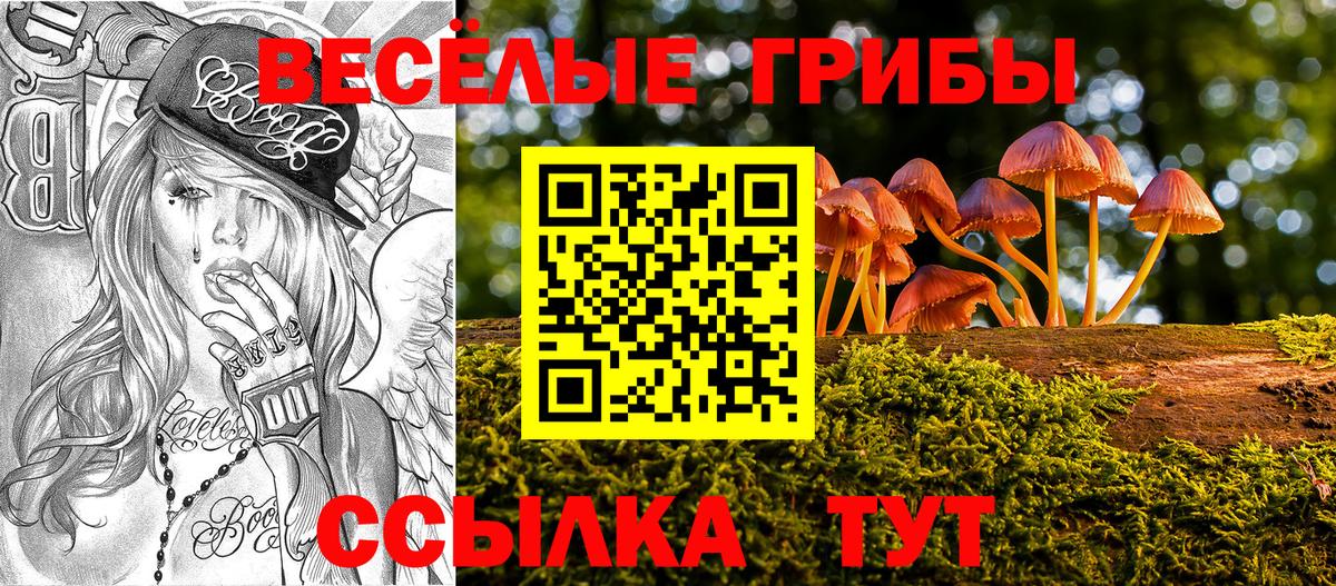где найти   Вход с VPN  Лыткарино  Галлюциногенные грибы Cubensis  Галлюциногенные грибы Cubensis 
