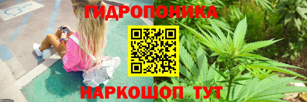 Шишки марихуана ГИДРОПОН  Канабис гибрид  Бошки марихуана Bruce Banner  Лыткарино  Вход с VPN 